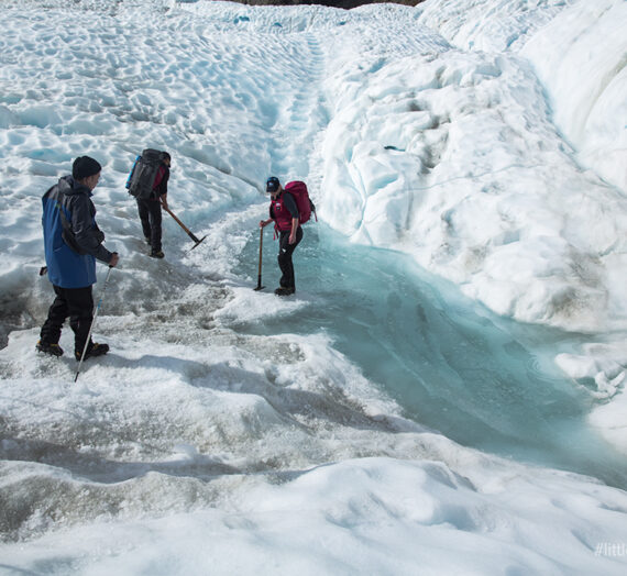 FOX GLACIER HELI HIKE