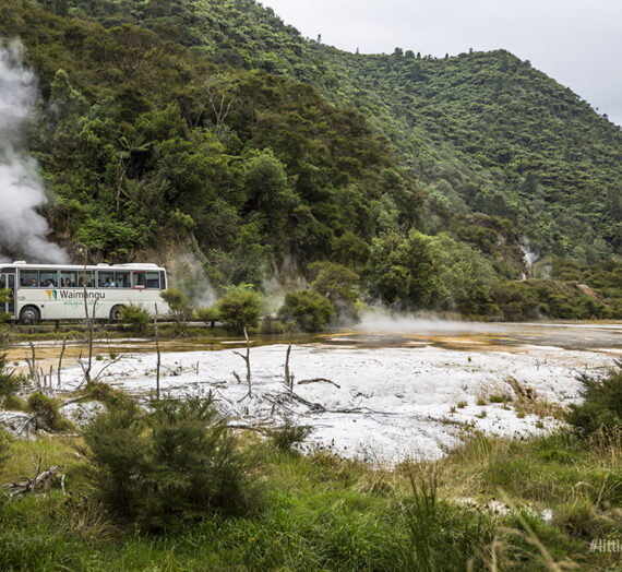 SELF GUIDED WALK @ WAIMANGU VOLCANIC VALLEY